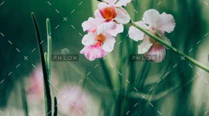 demo-attachment-55-chuttersnap-565733-unsplash-1