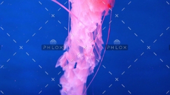 demo-attachment-309-pan-da-chuan-219195-unsplash