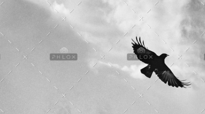 demo-attachment-83-samuel-zeller-34761-unsplash-1